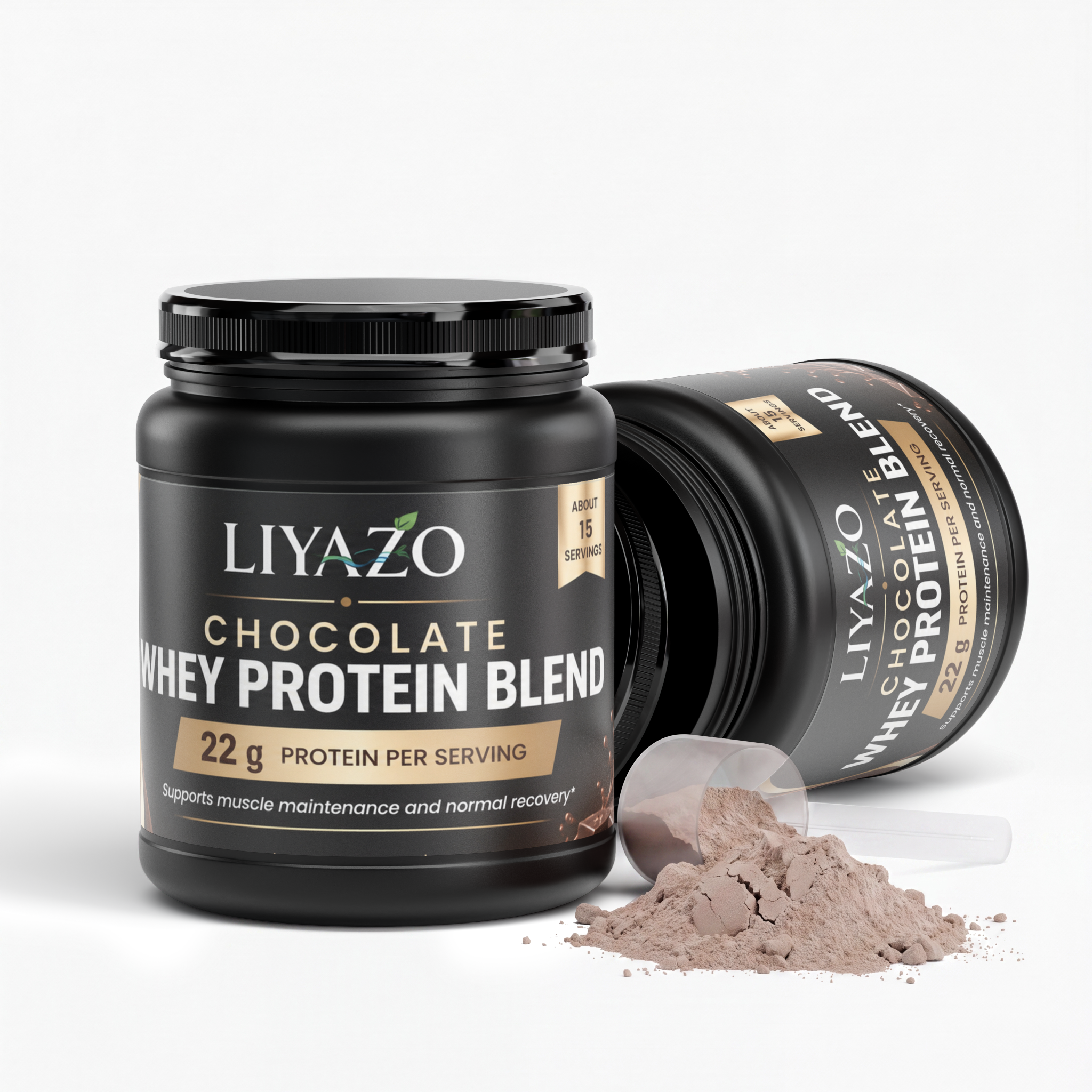 CHOCOLATE WHEY PROTEIN BLEND