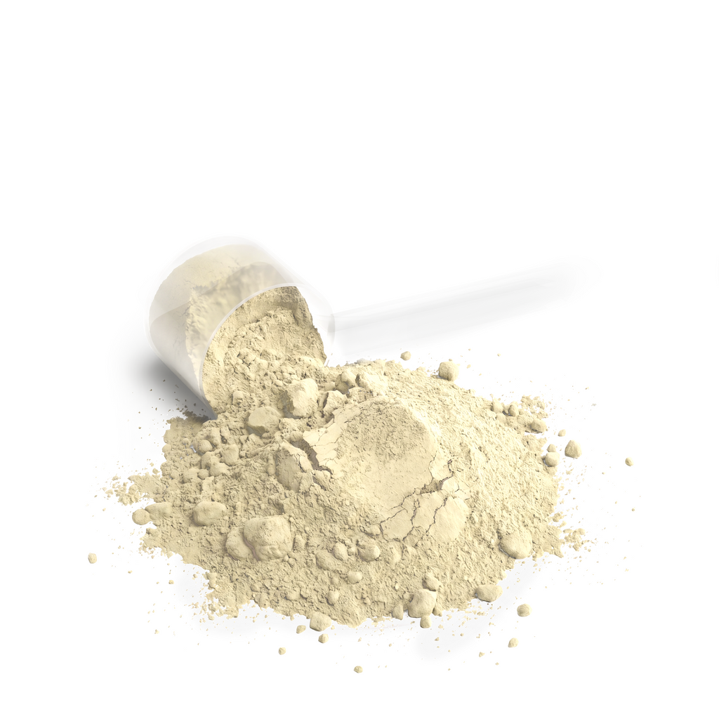 VANILLA WHEY PROTEIN BLEND
