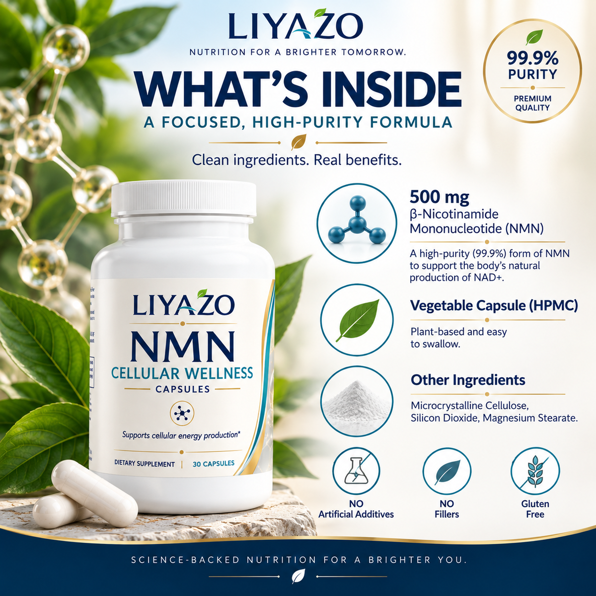NMN CELLULAR WELLNESS