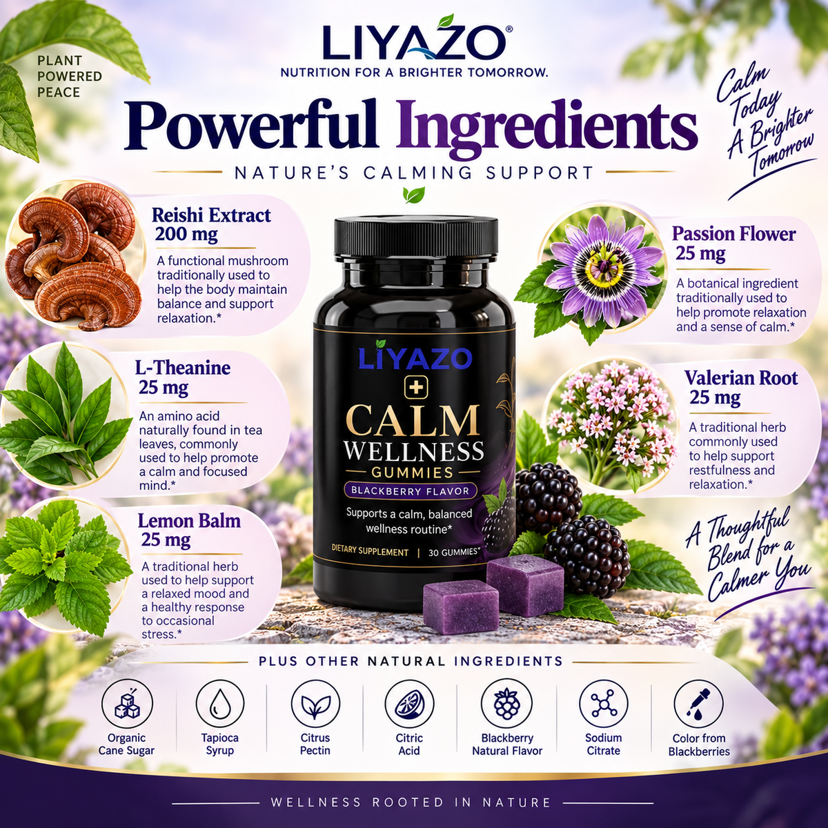 CALM WELLNESS GUMMIES